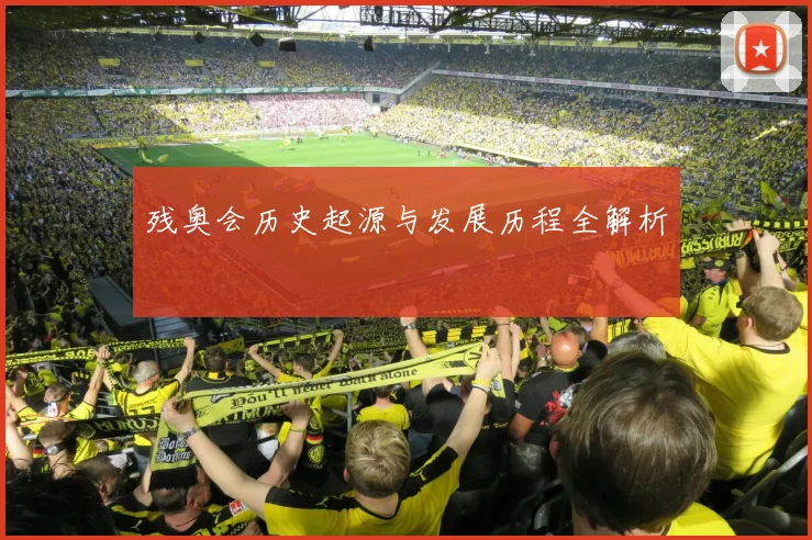 残奥会历史起源与发展历程全解析